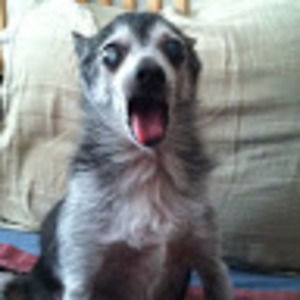 Meet your Posher, The